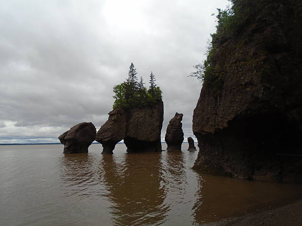 istock Hopewell Rocks At High Tide 626917990