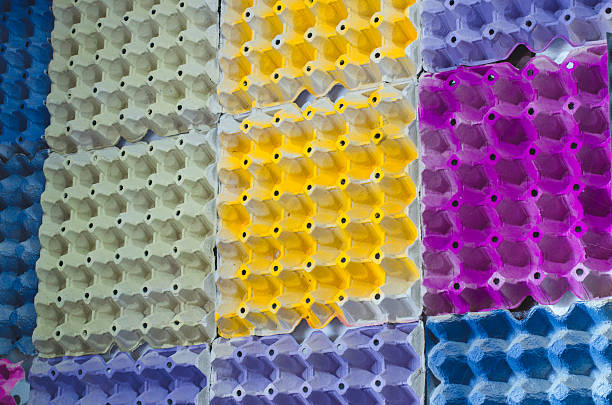 Egg tray painted in many colors