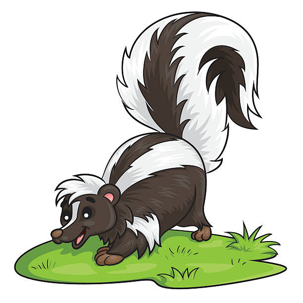 스컹크 말풍선이 있는 - skunk stock illustrations