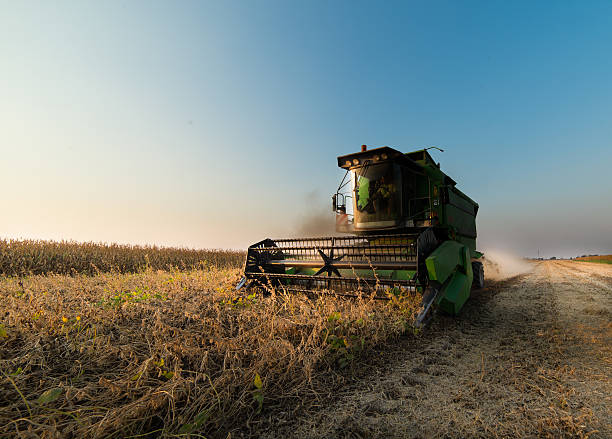 soybean harvest in autumn Harvesting of soybean field with combine combine harvester stock pictures, royalty-free photos & images
