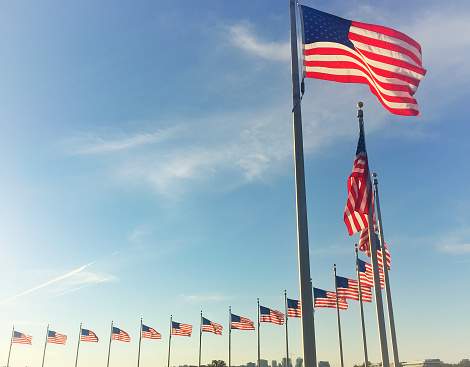 american flags waving in Washington