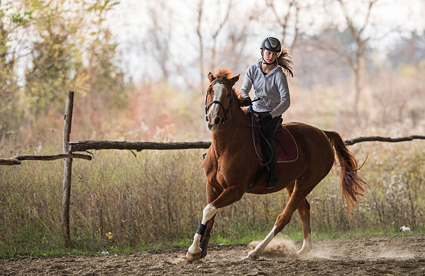 istock Young girl riding a horse 626996612