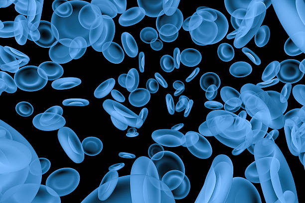 istock x ray red blood cells isolated on black 627000048