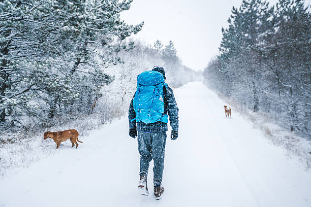 istock Me and my dogs on snow 627003410