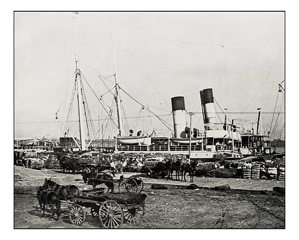 Antique photograph of Cotton steamer in New Orleans Antique photograph of Cotton steamer in New Orleans industrial ship photos stock illustrations