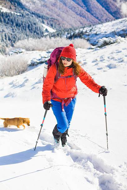 istock Girl with dog in winter mountains. 627010010