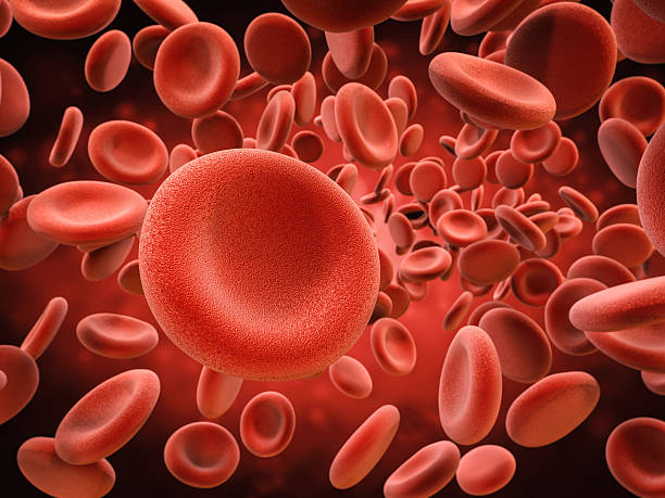 rote blutkörperchen in der vene - red blood cell stock-fotos und bilder