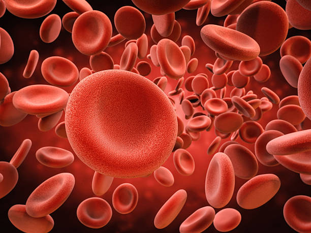 red blood cells in vein 3d rendering red blood cells in vein Red Blood Cell stock pictures, royalty-free photos & images