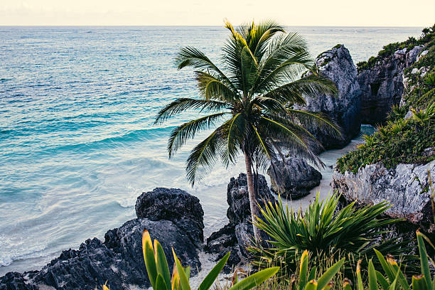 Caribbean beach Tulum - Mexico Mayan Riviera
