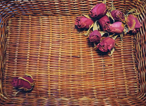 Roses immortelle in a silver bowl photographed as stilleben with antique artefacts, ancient processed