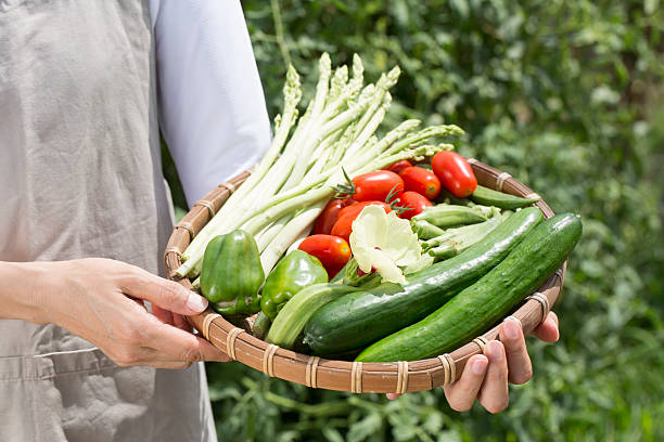 Close-up basket with harvest of fresh vegetables herbs edible flowers in hands of female in garden. Farmers market, organic farming gardening harvesting summer autumn harvest healthy eco eating food