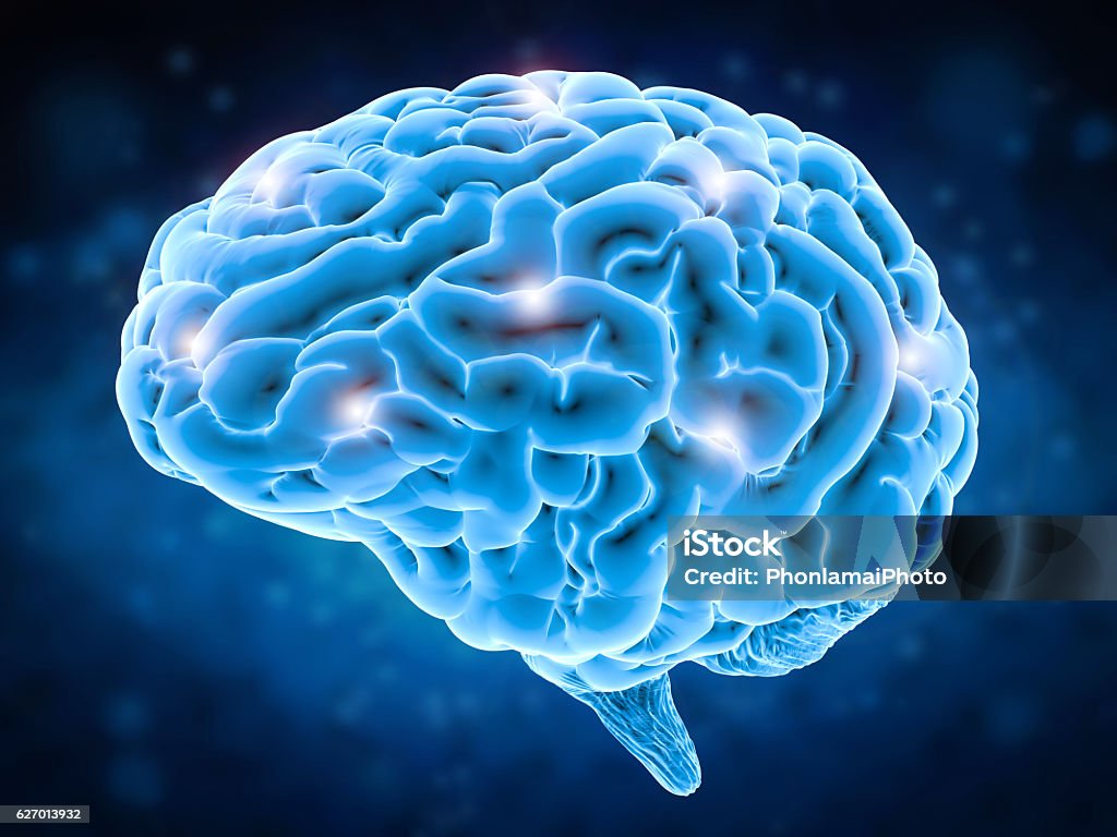 concetto di potenza cerebrale - Foto stock royalty-free di Cervello umano