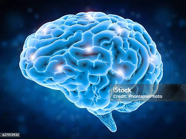 Concetto Di Potenza Cerebrale - Fotografie stock e altre immagini di Cervello umano - Cervello umano, Sanità e medicina, Blu