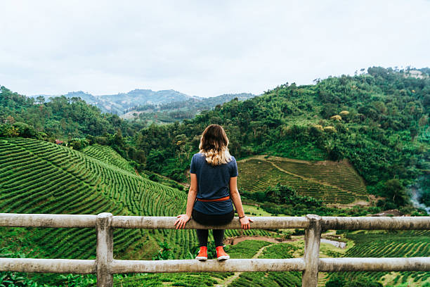 женщина возле чайной плантации в таиланде - mae hong son province стоковые фото и изображения
