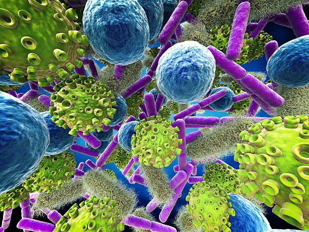 various bacteria cells and virus 3d rendering various bacteria cells and virus cell flagellum stock pictures, royalty-free photos & images