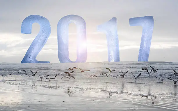Photo of New Year 2017 numbers with ocean and birds