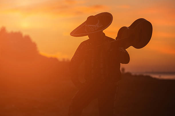 istock Musician on the coast. Mexican 627021142