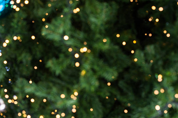 bokeh de lumière sur l’arbre de noël - pin photos et images de collection