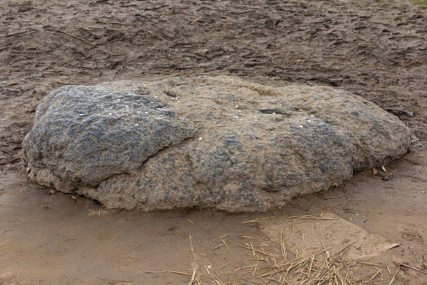 piedra sagrada cerca del lago azul plescheevo - plescheevo fotografías e imágenes de stock