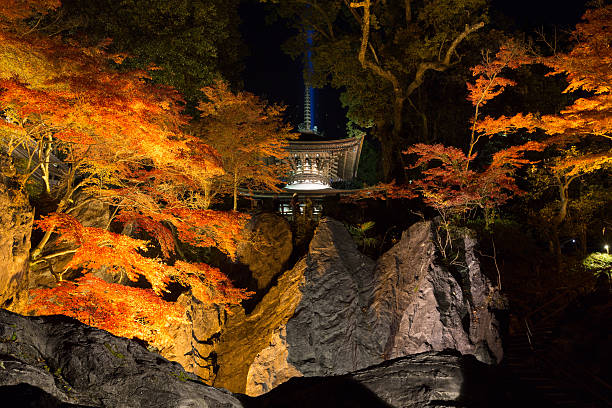 Ishiyama-dera Temple in Japan Otsu, Japan - November 16, 2016 : Ishiyama-dera Temple with autumn leaves in Otsu, Shiga Prefecture, Japan. It is a Shingon temple. otsu city stock pictures, royalty-free photos & images