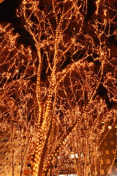 istock Illumination of Sendai city 627028608