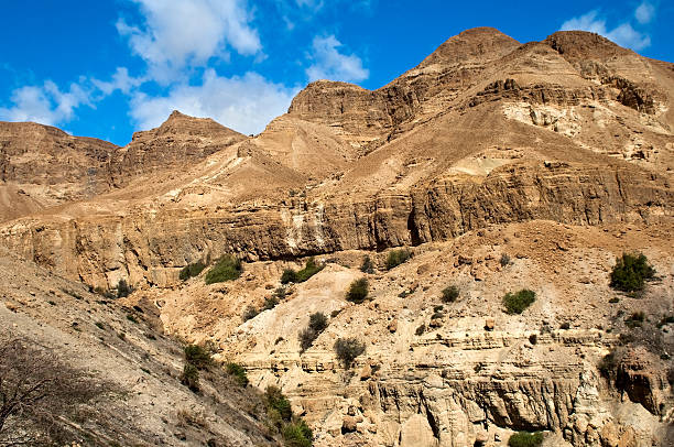 istock landscape in the Judean Hills 627028978