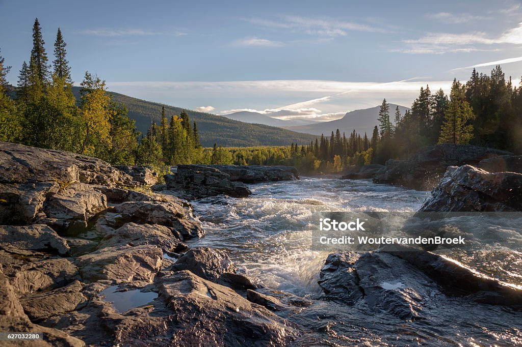 Golden light shining on wild river flowing down beautiful landscape Wild river streaming between big rocks in pine forest landscape Sweden Stock Photo