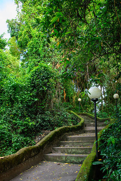 camino en el parque pura goa lawah, bali, indonesia - pura goa lawah fotografías e imágenes de stock