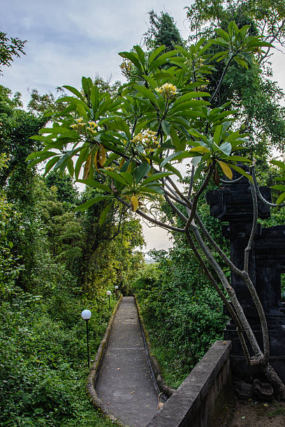 公園プラゴア・ラー、バリ、インドネシアのパス - pura goa lawah ストックフォトと画像