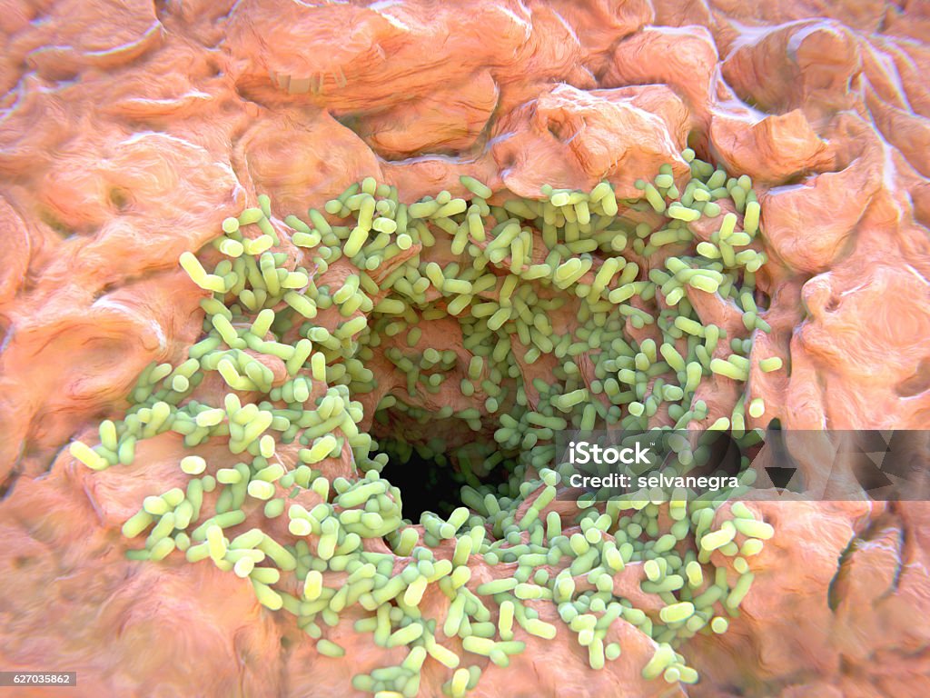 Bacteria on a sweat pore On the pores of the apocrine sweat glands, bacteria metabolize organic substances secreted in the sweat into odorant substances. Magnification Stock Photo