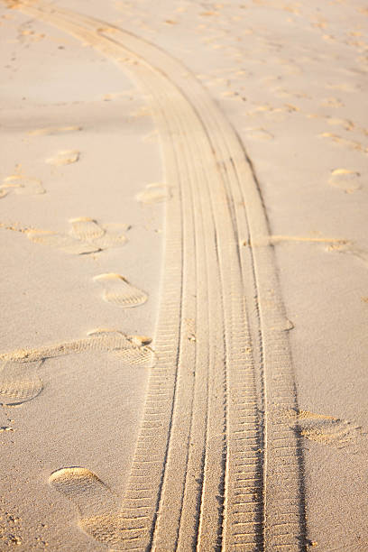 istock Tire Tracks and foot steps on the beach 627036902