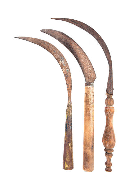 istock Three old rusty sickle isolated on white background.Old vintage sickle 627038418