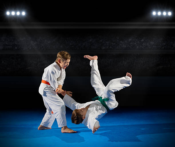 istock Little boys martial arts fighters 627041028