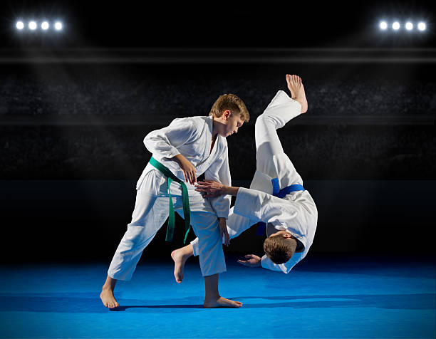 istock Boys martial arts fighters 627042278