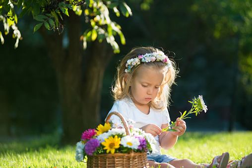 child with flowers in a basket