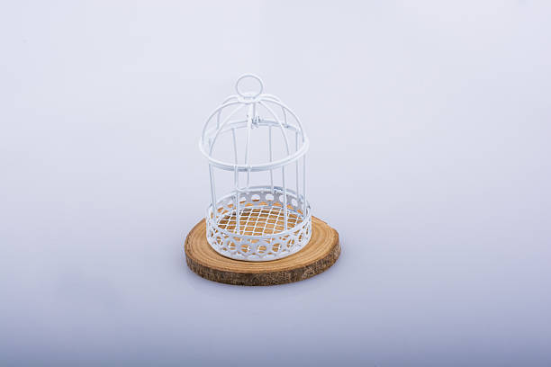 istock Little notebook placed in a red color bird house 627044110