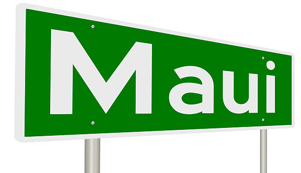 istock Highway sign for Maui 627045652