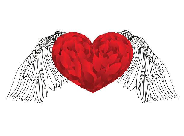 Design red heart with wings. Vector. Isolated on white background Design red heart with wings lowered downwards.  Vector. Valentines day. Isolated on white background sketches-of-hearts-with-wings-clip-art stock illustrations