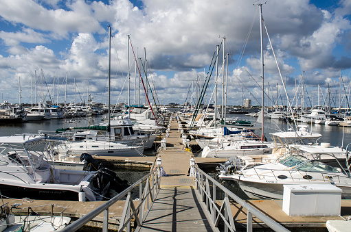 Mount Pleasant, South Carolina, USA - November 24, 2016: Charleston Harbor Marina is located on the Cooper River between Shem Creek and the USS Yorktown. With 459 boat slips, it is the largest in water marina in the state of South Carolina. The marina is across the river from Charleston which is the oldest and second-largest city in the southeastern State of South Carolina, and known for its history, architecture, gardens and restaurants.