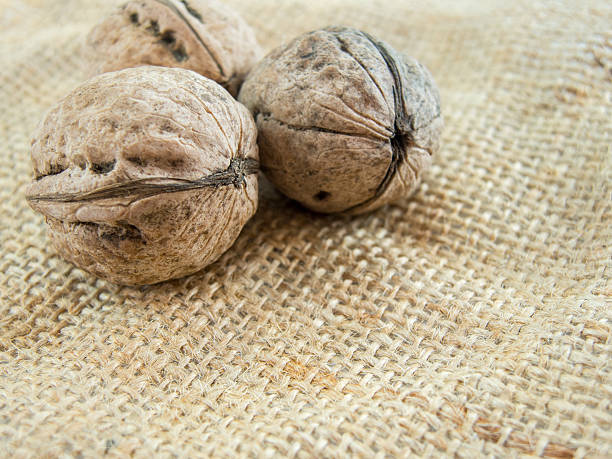 istock walnuts on a patch of hemp bag 627048746