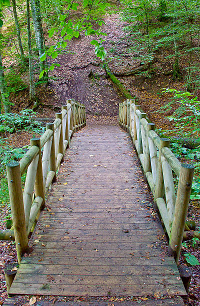 istock Yedigoller Lake and Forest 627068684