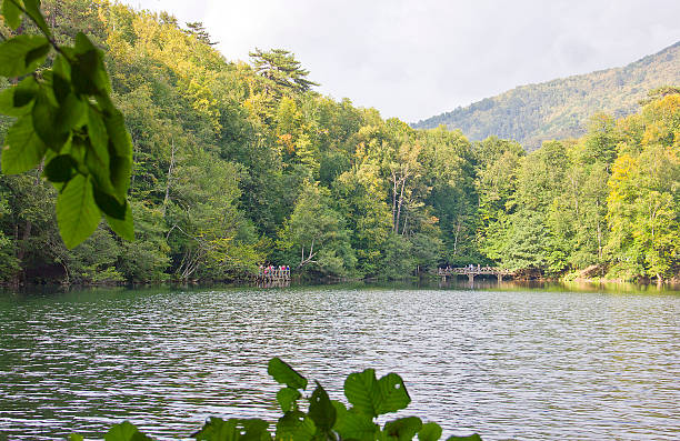 istock Yedigoller Lake and Forest 627070262