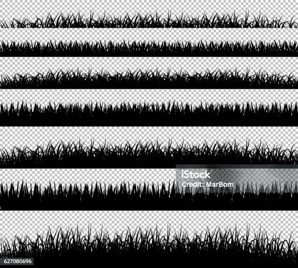 Grass Borders Silhouette Set On Transparent Background Vector Stock Illustration - Download Image Now