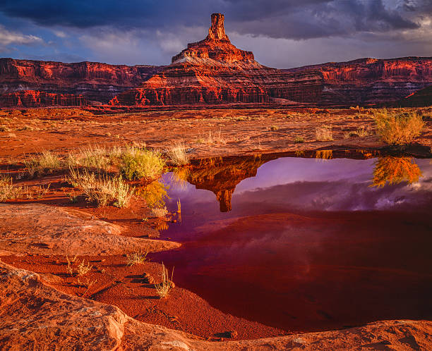 Dead Horse Point State Park from BLM LAND, Utah(P)