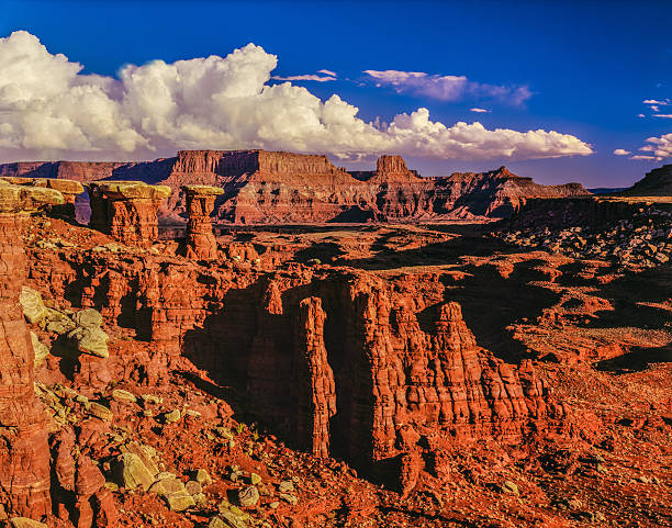 istock Looking at Canyonlands National Park from BLM LANDS,Utah 627089586
