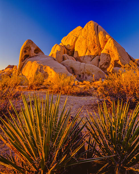 California desert at sunset Joshua Tree National Park Dawns first light warms the rock outcroppings of Joshua Tree National Park, CA mojave desert stock pictures, royalty-free photos & images