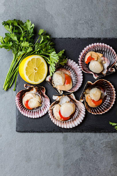 istock Raw scallops with lemon, cilantro on slate plate, white wine 627091952