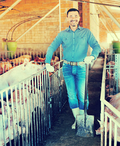 istock Man working on animal farm 627092460
