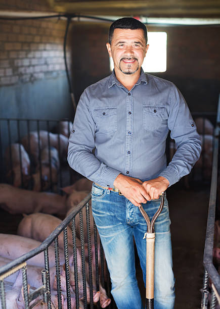 istock Man farmer standing in pigsty 627092670