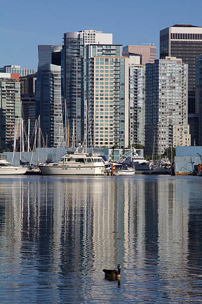 istock Commercial buildings opposite Stanley Park, Vancouver (Canada) 627098966